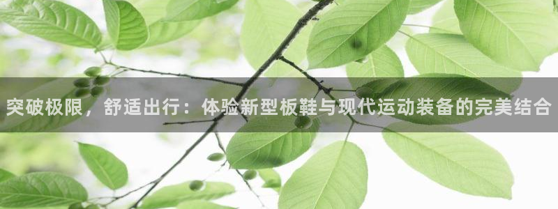 必一运动app：突破极限，舒适出行：体验新型板鞋与现代运动装备的完美结合